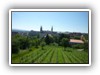 Nmlich auf den Michaelsberg, mit herrlicher Aussicht auf Stadt...