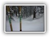 Kolping im Winterwald.